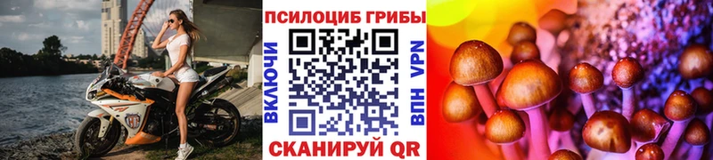 Псилоцибиновые грибы ЛСД  Анапа 