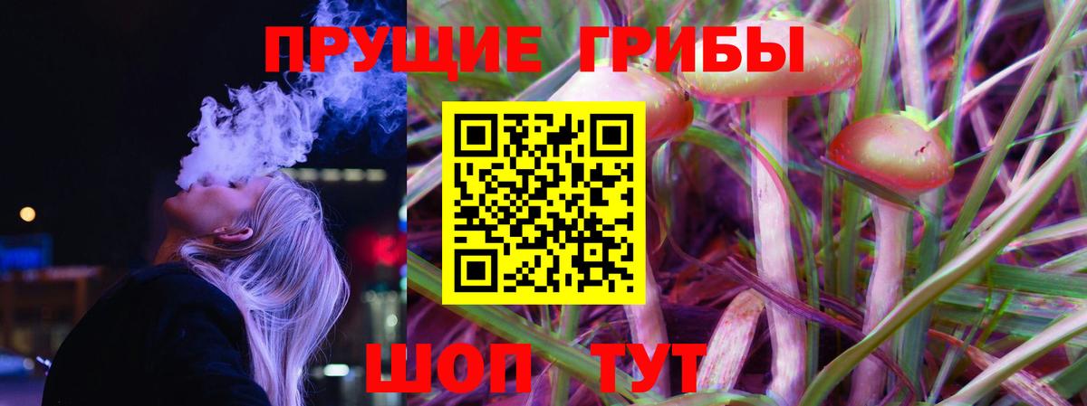 Псилоцибиновые грибы Cubensis  Вход с VPN  Анапа  Галлюциногенные грибы Psilocybine cubensis 